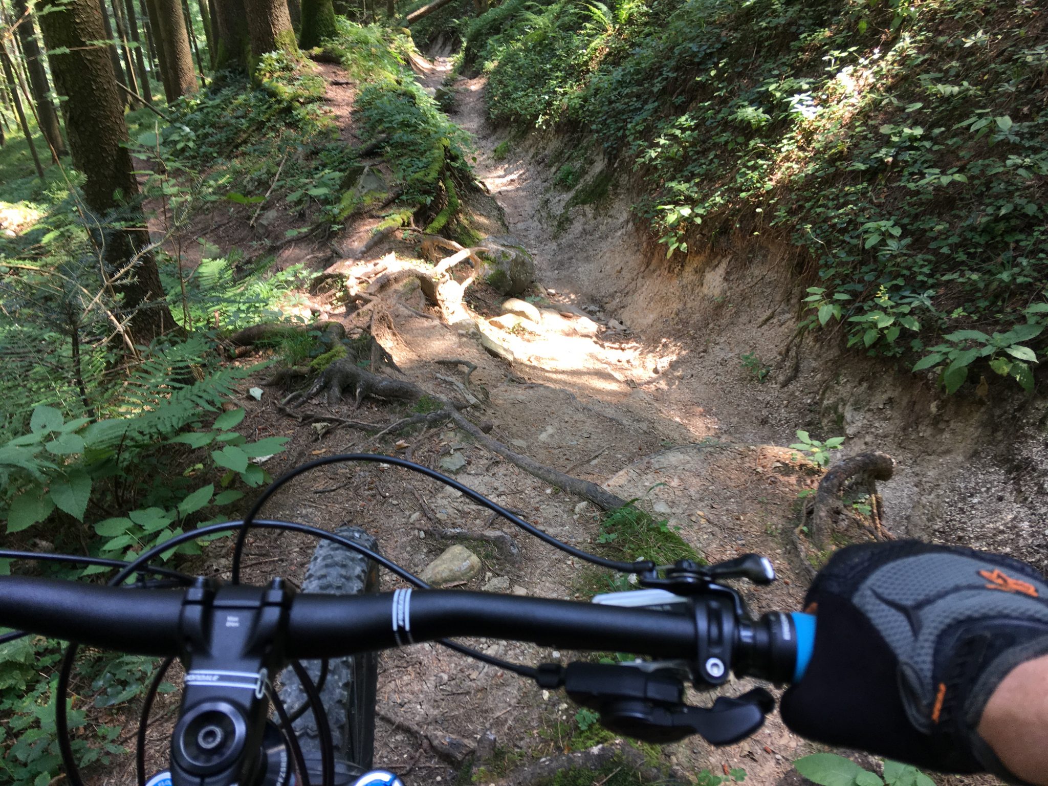 Abfahrt vom Pendling zum Dreibrunnenjoch, Kufstein, Tirol