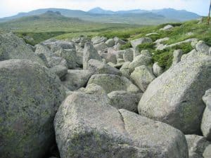 Blockstrom auf der Hochebene des Crny Vrhs, Vitosha-Gebirge, Bulgarien