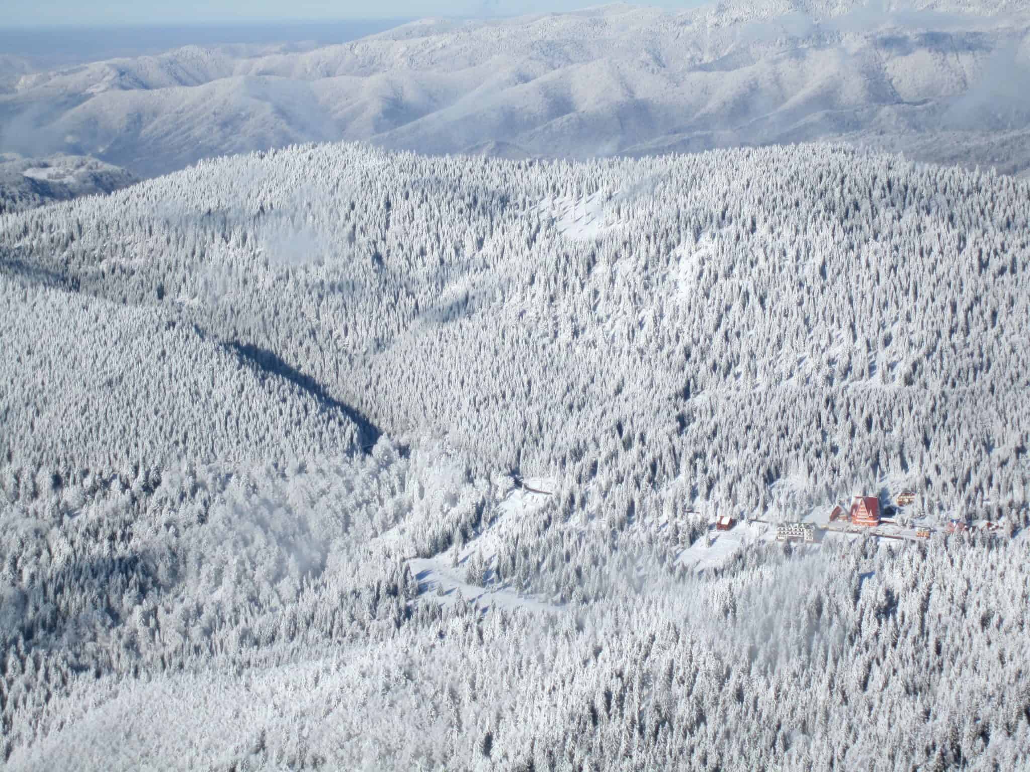 Naturnaher Fichtenwald im Bihór-Gebirge, Siebenbürger Westkarpaten (Apuseni), Rumänien
